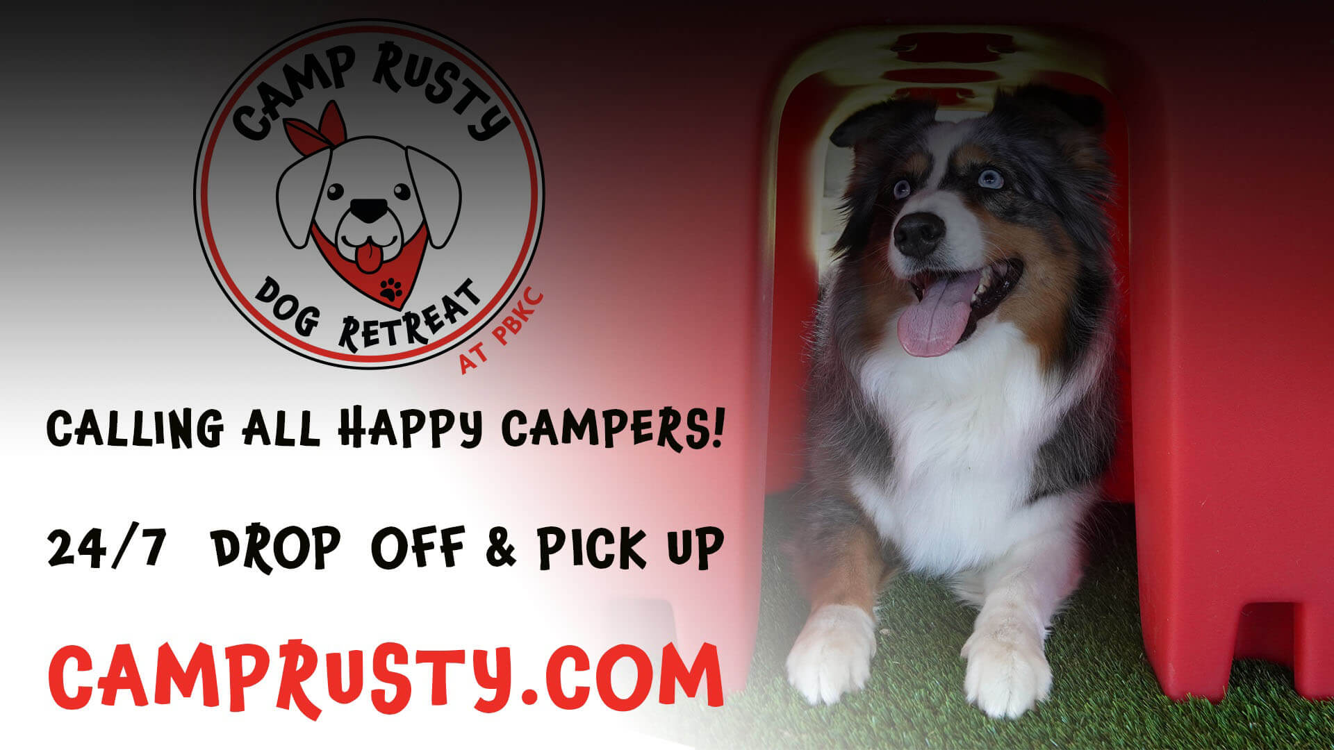 Home Palm Beach Kennel Club