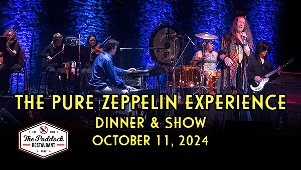 Led Zeppelin Tribute band
